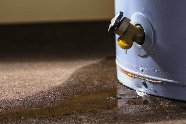 Best Flood restoration services  in Pryor Creek, OK