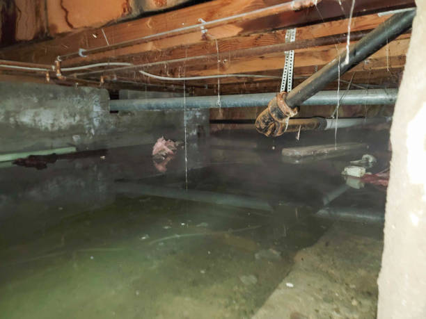 Best 24-hour water damage restoration  in Pryor Creek, OK