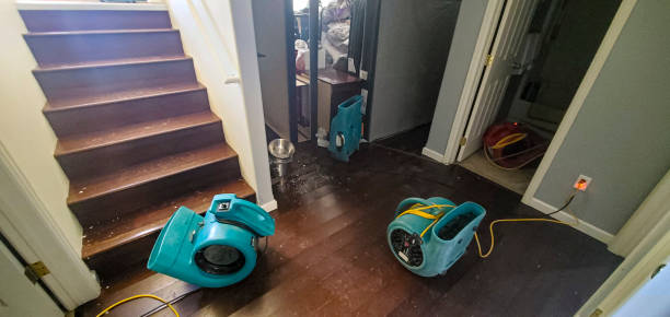 Best Fire Damage Restoration  in Pryor Creek, OK