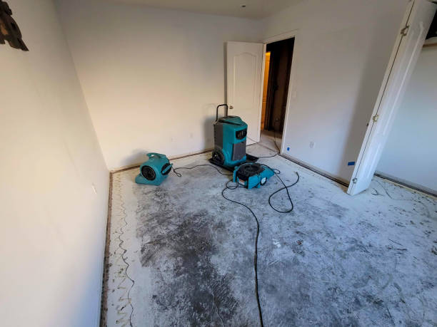 Best Water damage restoration near me  in Pryor Creek, OK