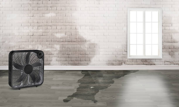 Best Emergency water damage restoration  in Pryor Creek, OK