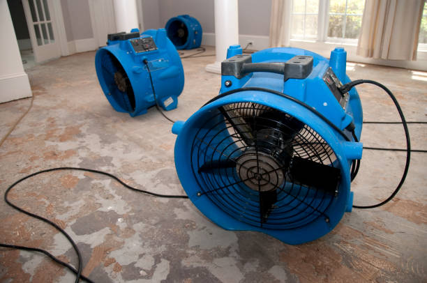 Best Water damage restoration services  in Pryor Creek, OK