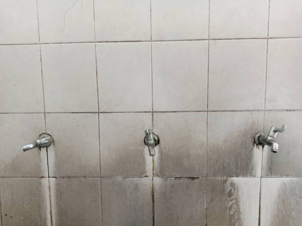 Best Sewage cleanup and water damage restoration  in Pryor Creek, OK